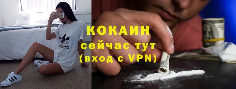 купить наркоту  Балашов  KRAKEN ССЫЛКА  Cocaine Эквадор 